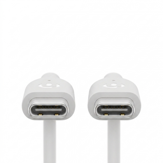 iNcentive USB-C to USB-C Cable 1 meter (VT220)