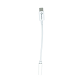 iNcentive USB-C to Jack Adapter (VT102)