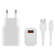 iNcentive Travel Adapter 18W + USB-A to Micro Cable (VT194)