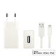 iNcentive Travel Adapter 2.1A + USB-A to Lightning Cable MFI (VT295)